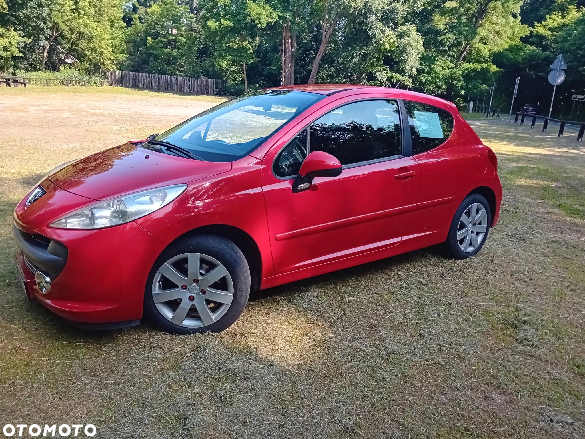 Peugeot 207 - 1