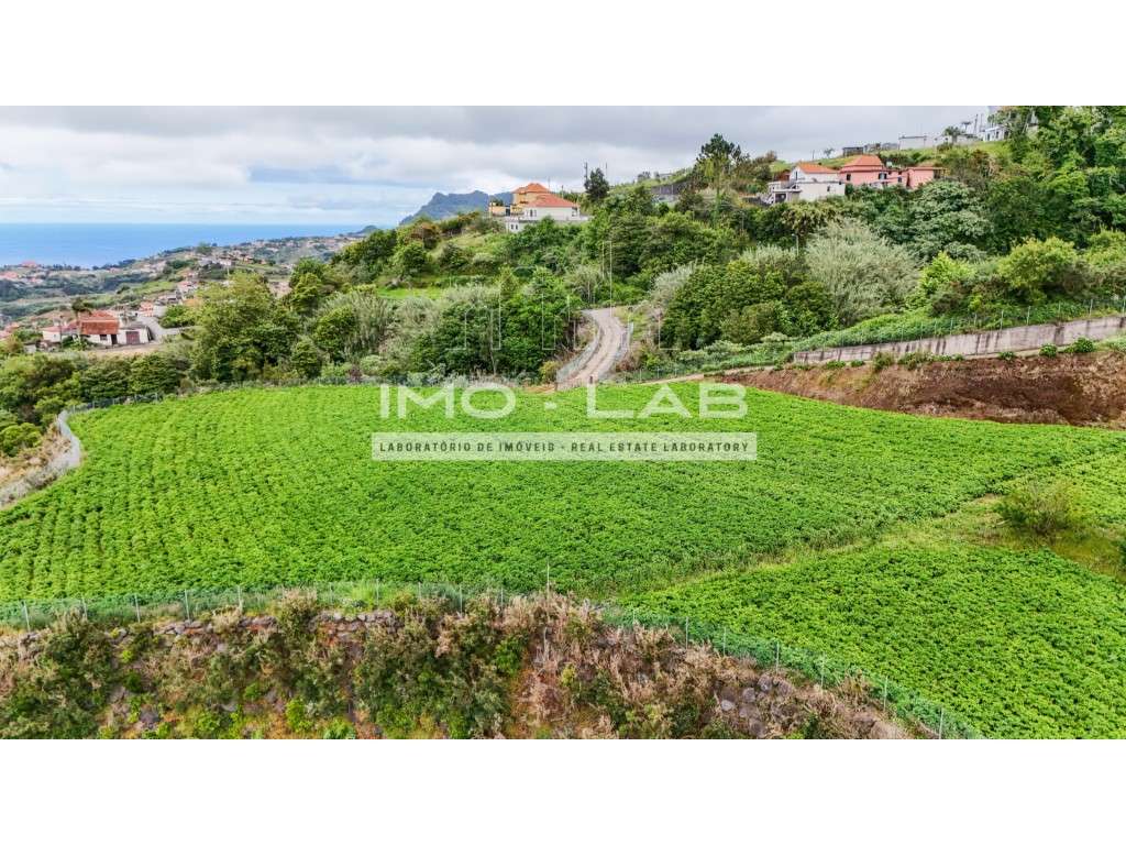 Armazém + 25.566m2 de Terreno Cultivado - São Jorge - Santana - Grande imagem: 4/19