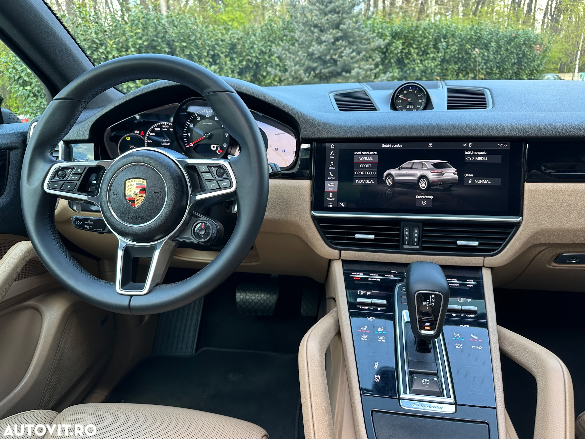 Porsche Cayenne Tiptronic S Platinum Edition - 8