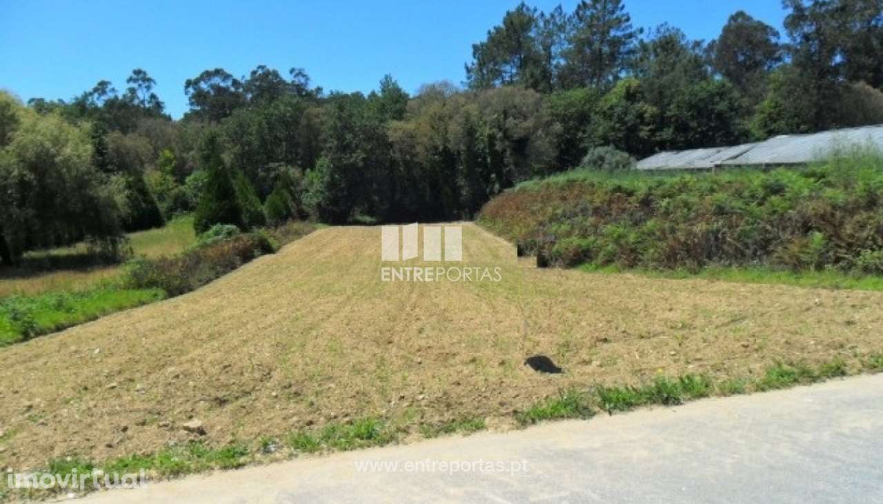Terreno Agrícola - Vila Mou - Grande imagem: 2/2