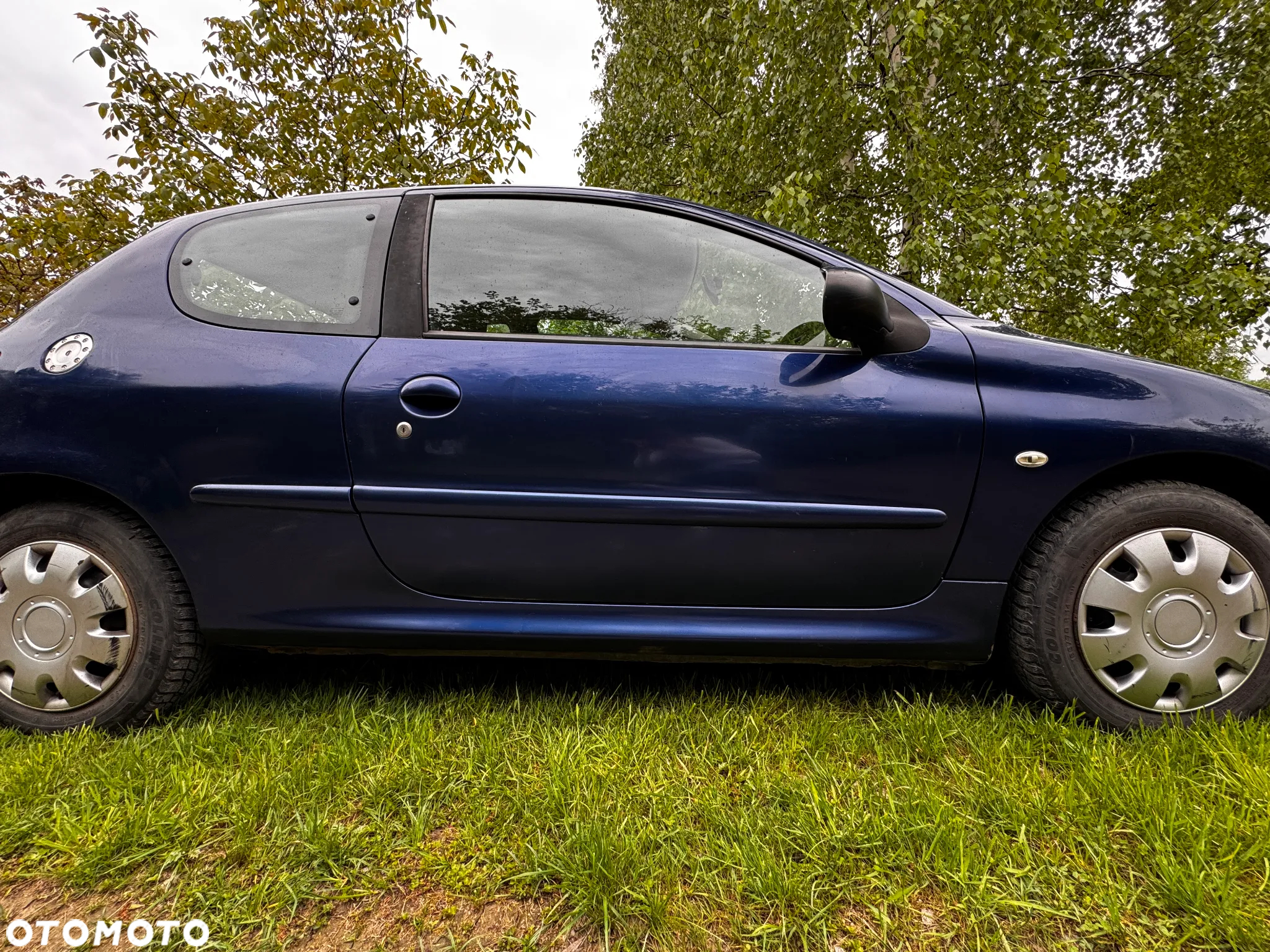 Peugeot 206 - 6
