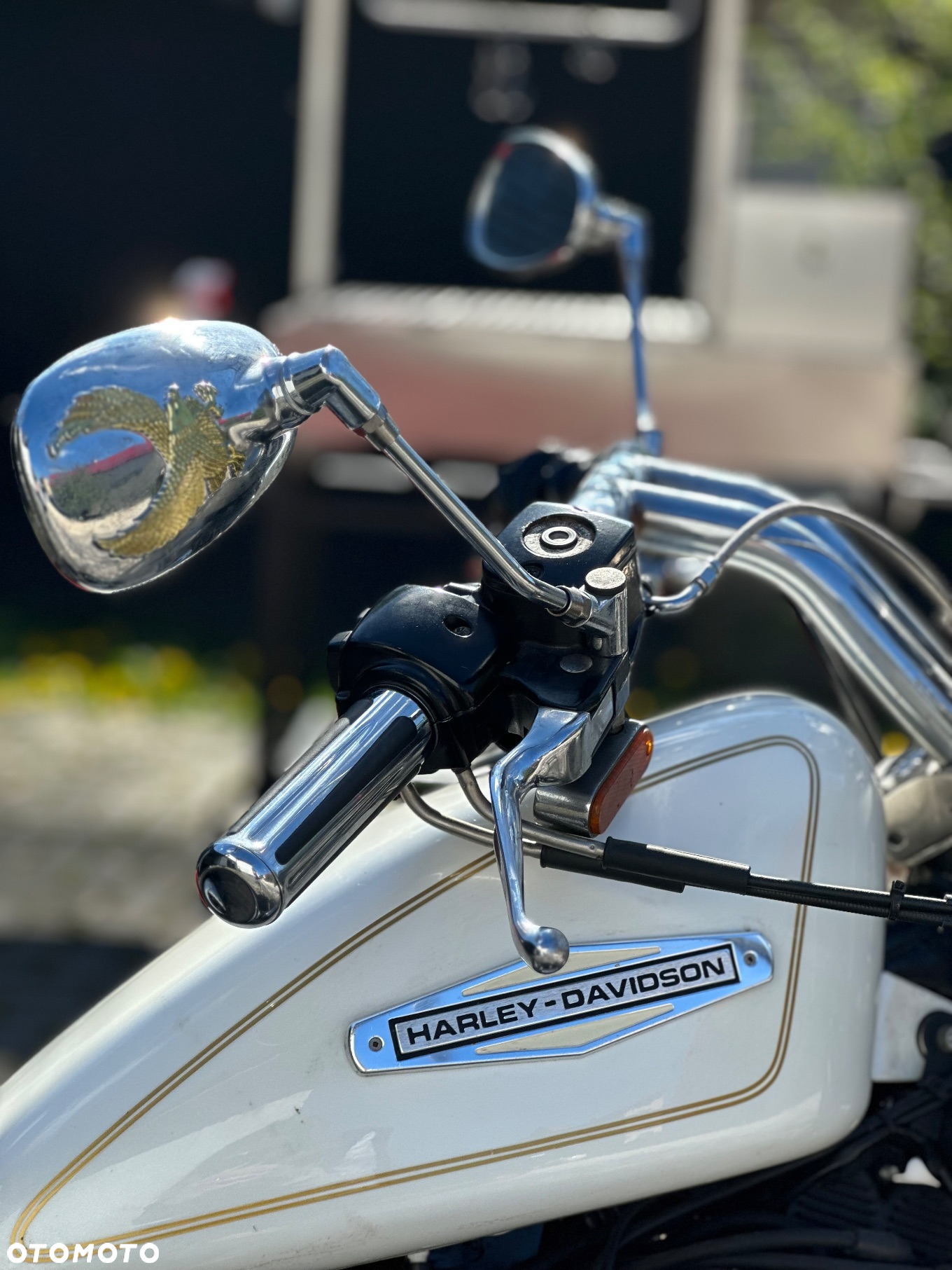 Harley-Davidson Sportster Iron 1200 - 17