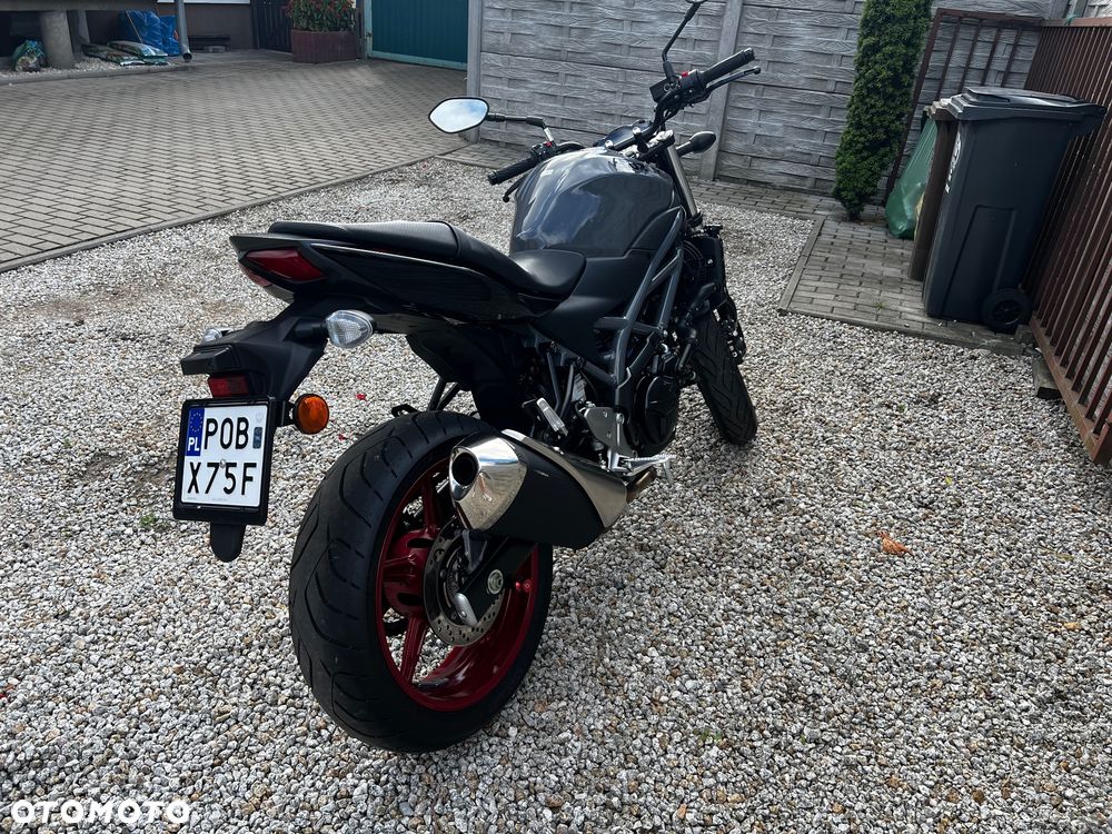 Suzuki SV - 1