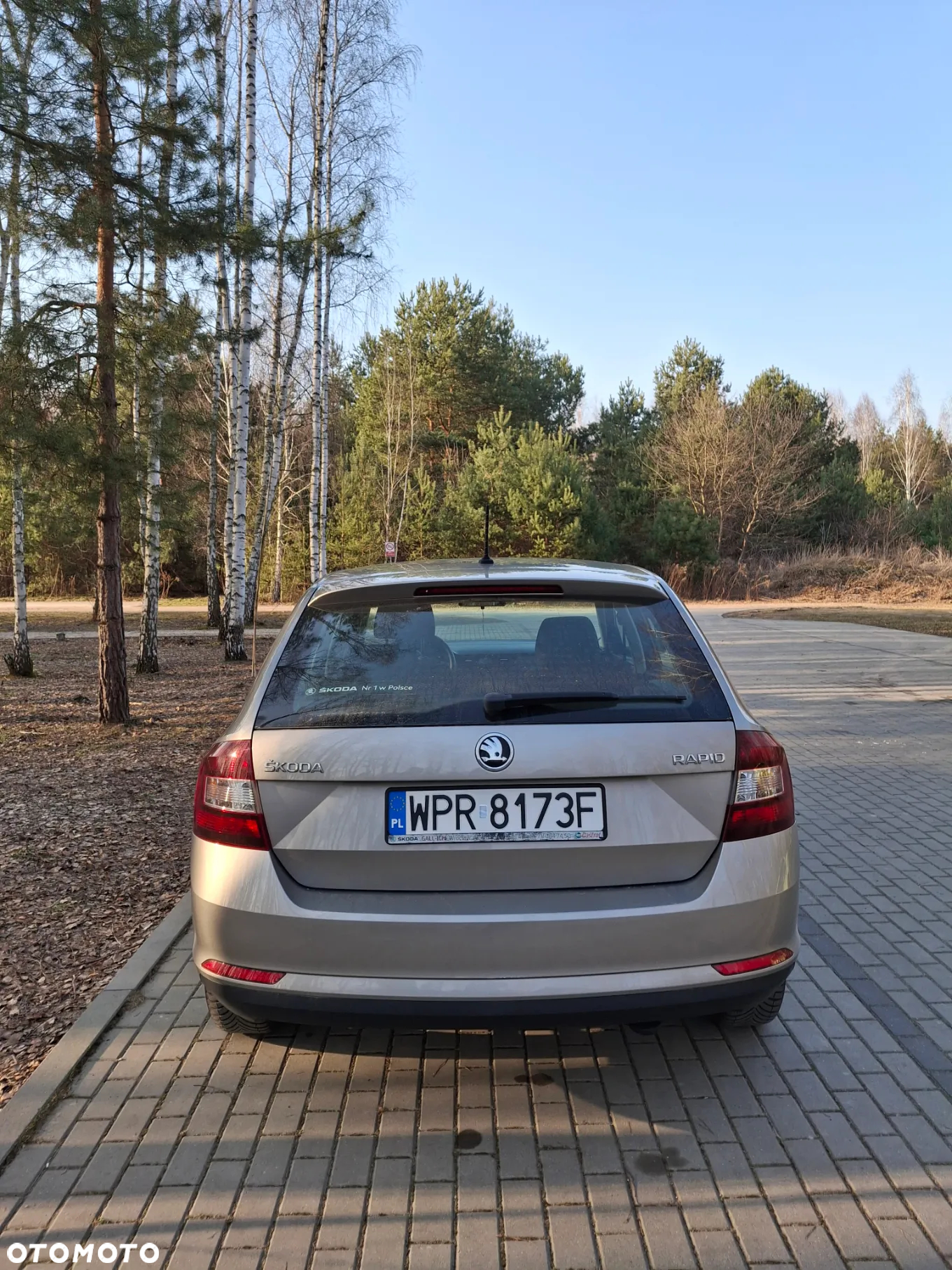 Skoda RAPID 1.0 TSI Ambition - 5