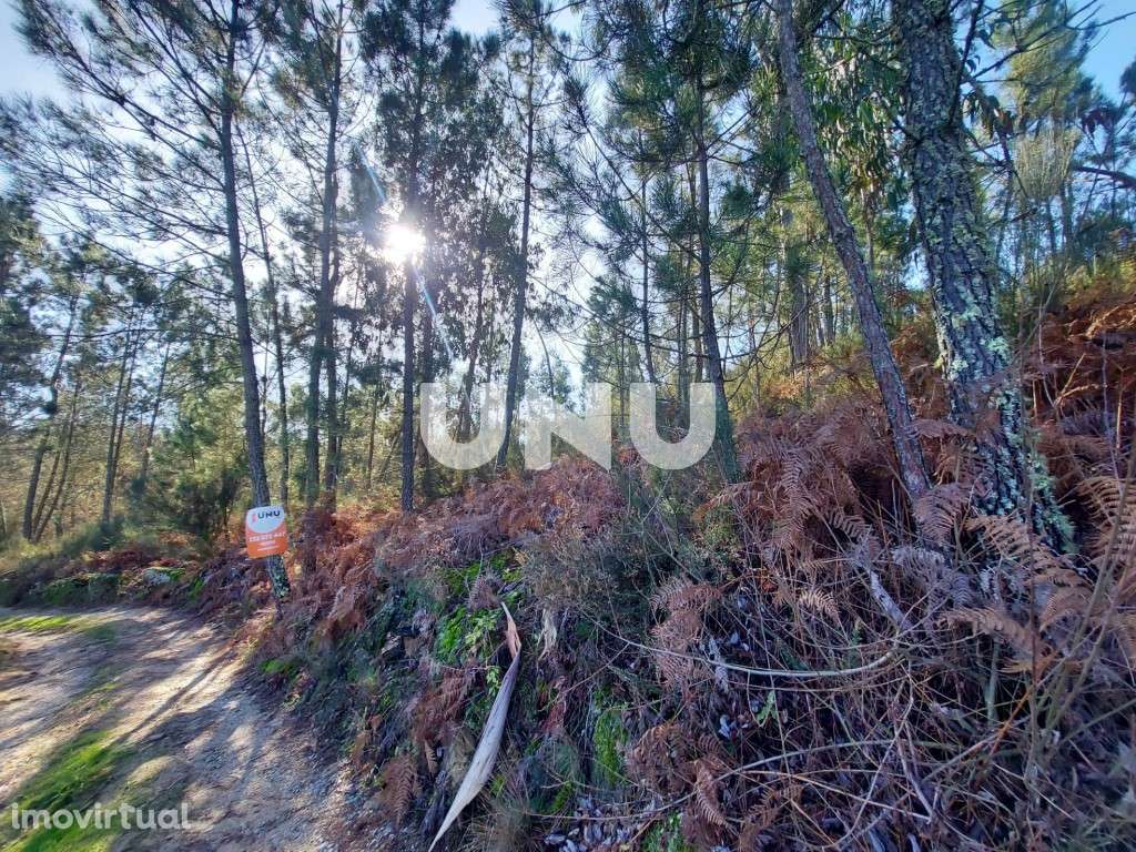 Terreno Rústico - Possibilidade de Construção - Grande imagem: 2/12