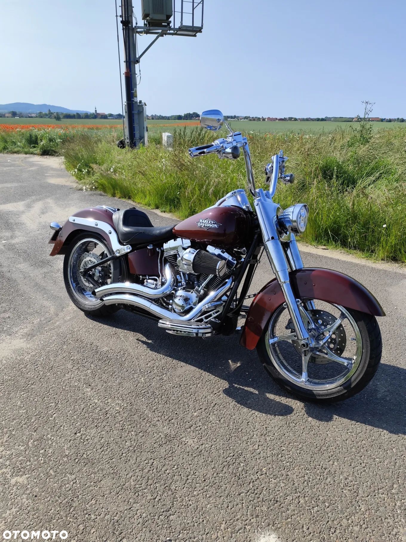 Harley-Davidson Softail - 1