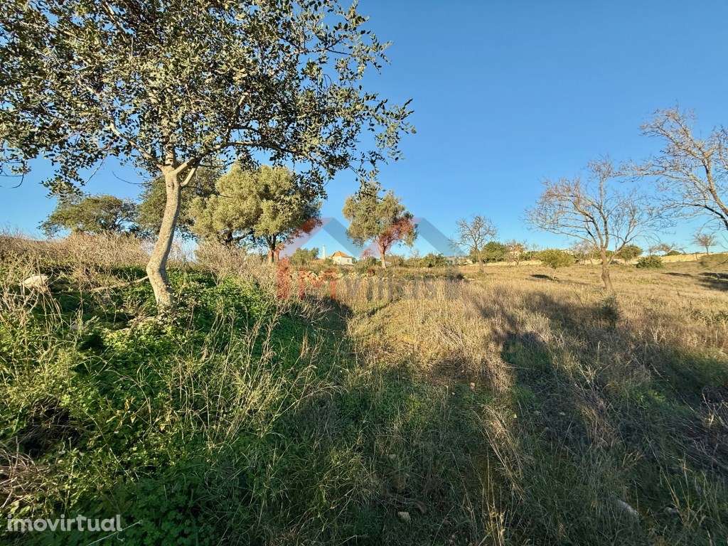 Terreno urbano para construção de 15 moradias - Boliqueime - Grande imagem: 2/6