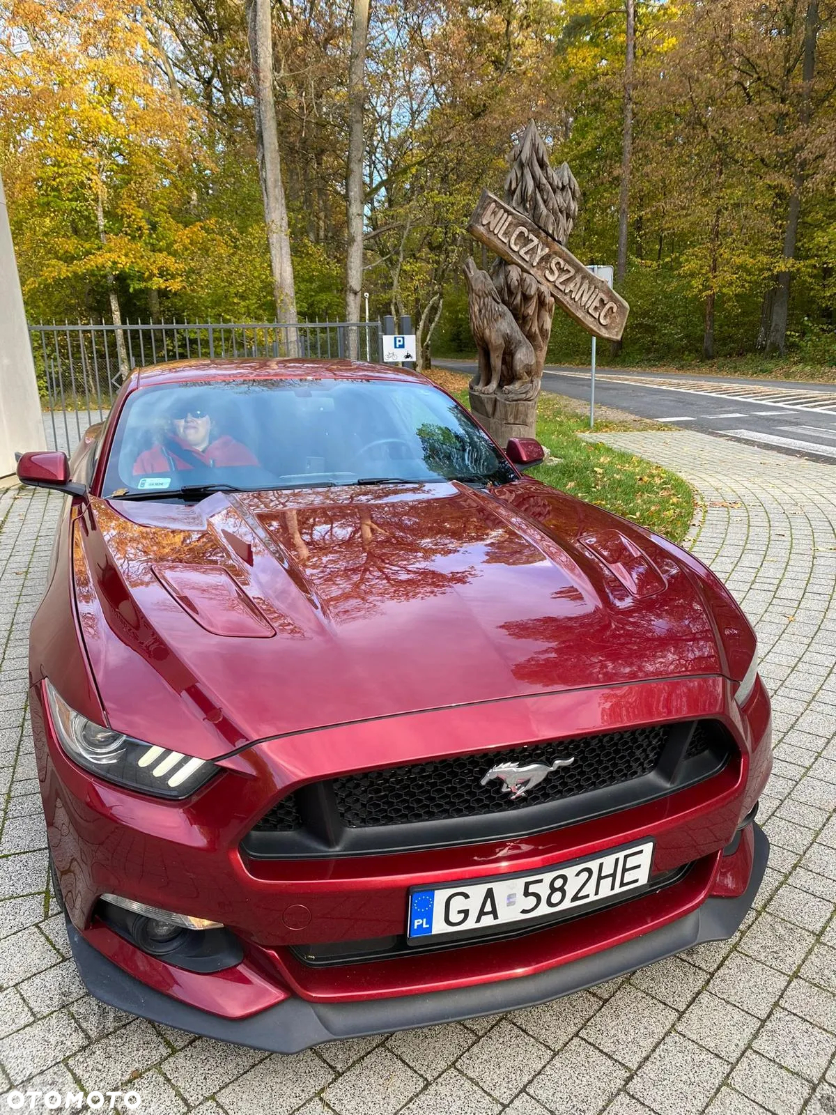 Ford Mustang 5.0 Ti-VCT V8 GT - 8