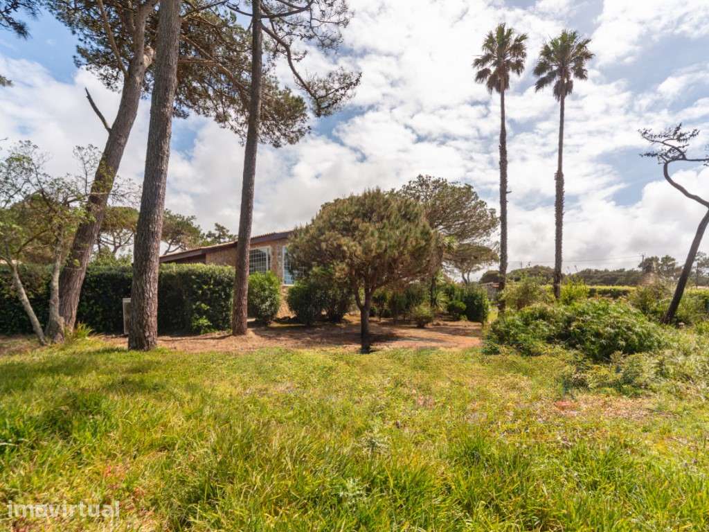 Moradia T3 + 1 térrea com piscina, campo de ténis e lote de 5.320 m... - Grande imagem: 3/37