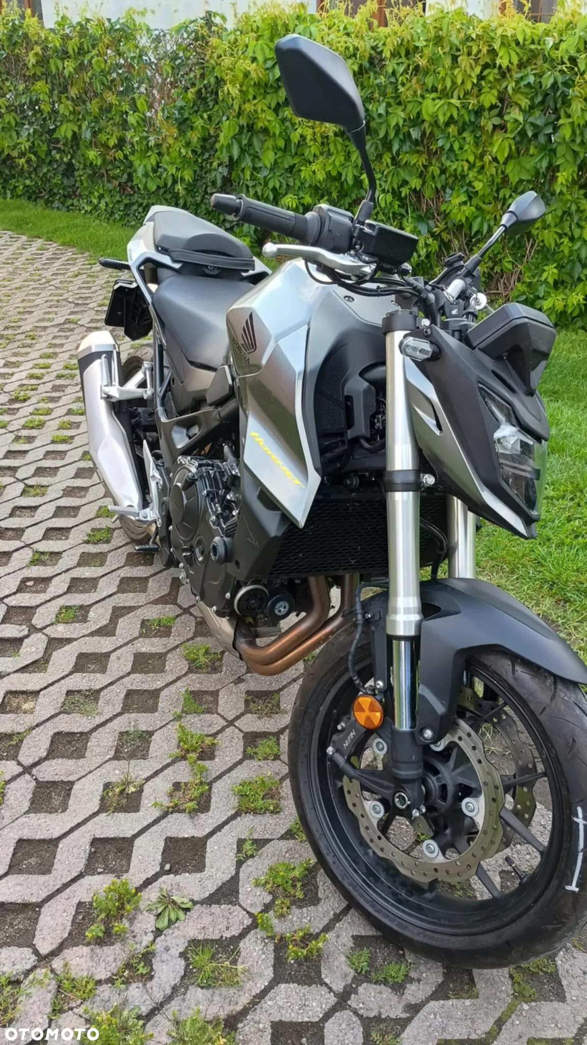 Honda Hornet - 5
