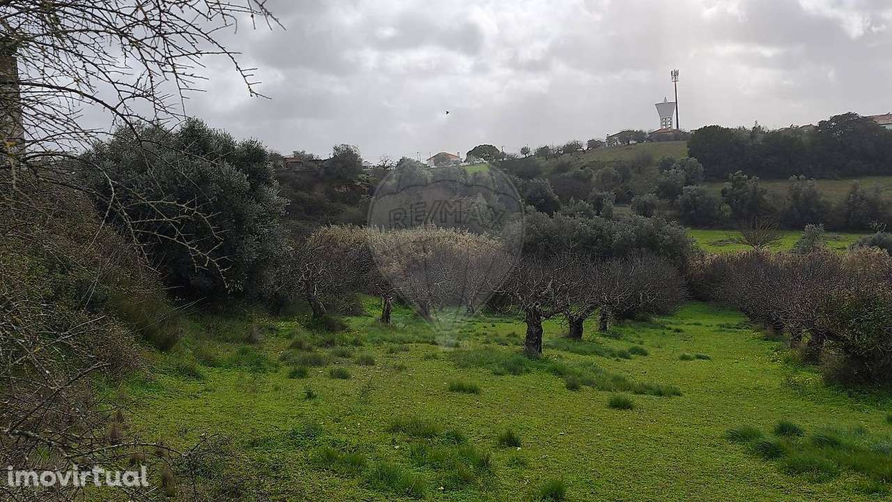 Terreno  para venda - Grande imagem: 5/15