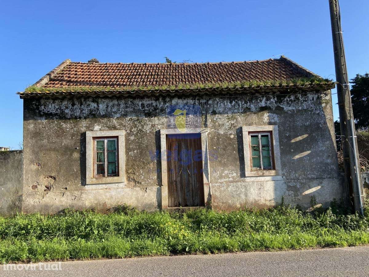 Terreno Salir de Matos - Grande imagem: 4/13