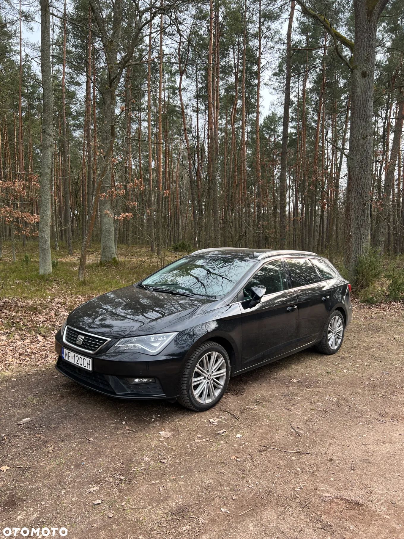 Seat Leon 1.5 EcoTSI Evo Xcellence S&S - 1