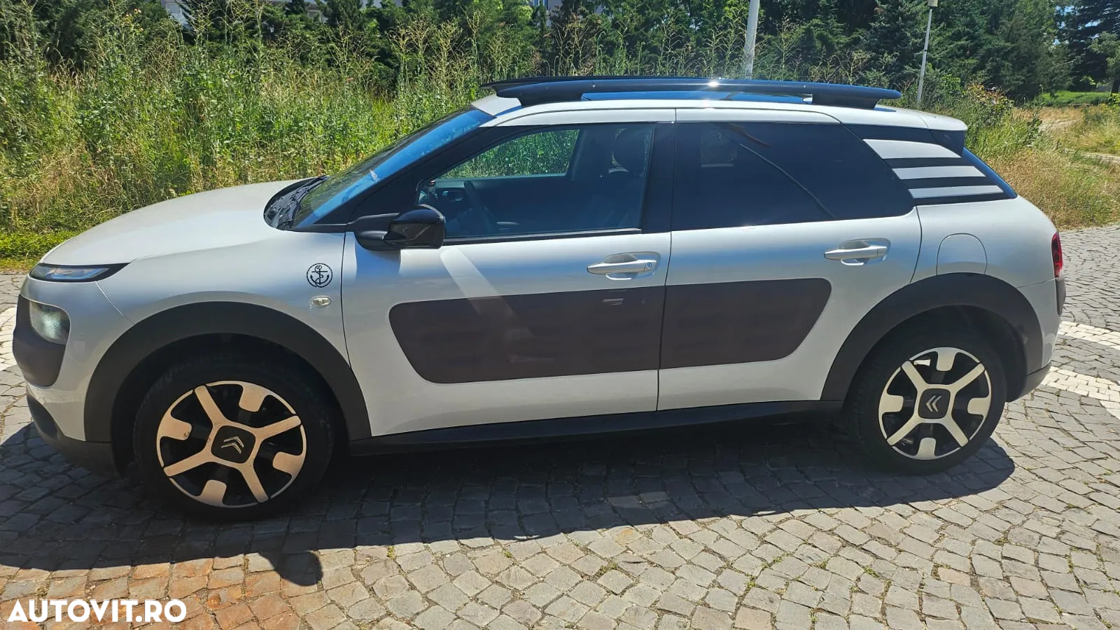 Citroën C4 Cactus PureTech 82 Shine Edition - 6