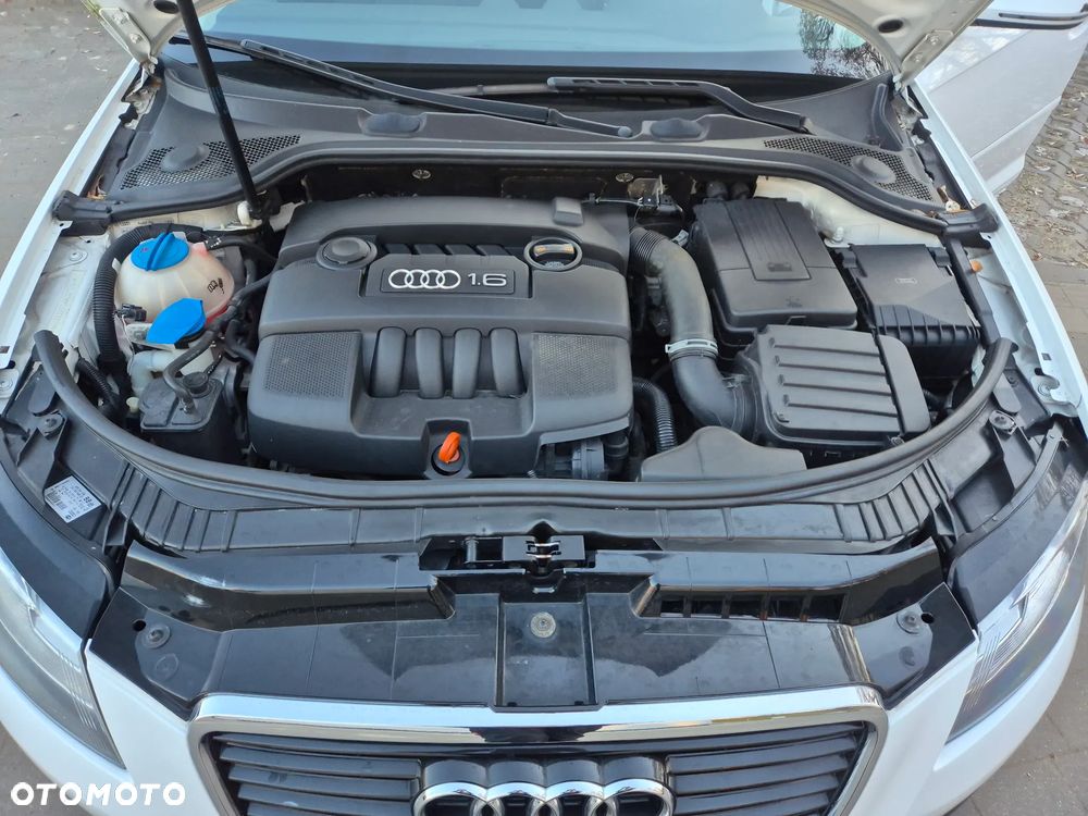 Audi A3 Sportback 1.6 Limited Edition - 14