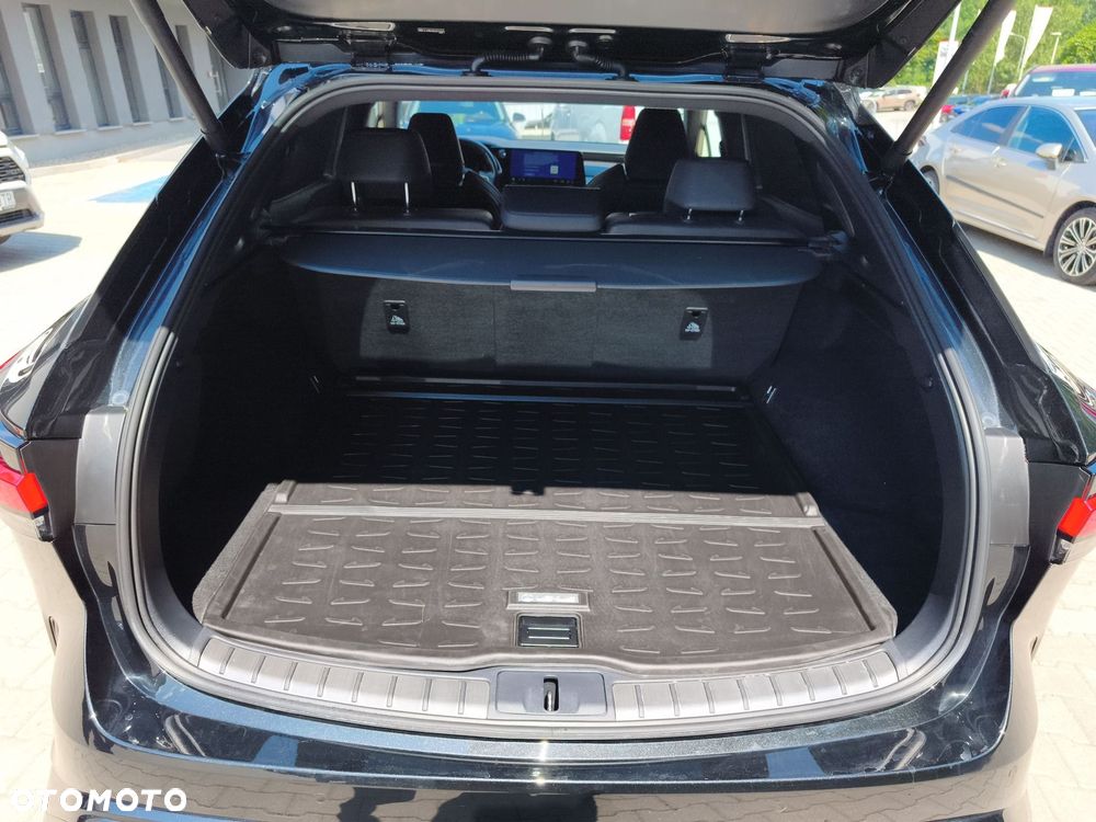 Lexus RX - 14