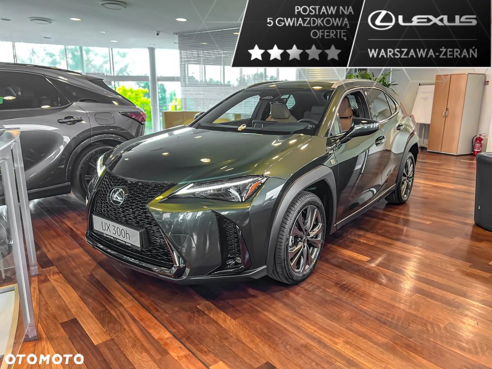 Lexus UX 300h F Sport Design AWD - 2