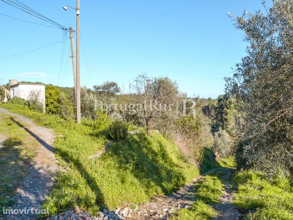 Lote de terreno com 1.600 m², para construção de moradia - Grande imagem: 2/19