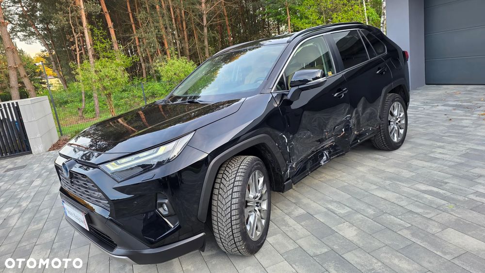 Toyota RAV4 2.5 Hybrid Executive 4x2 - 15