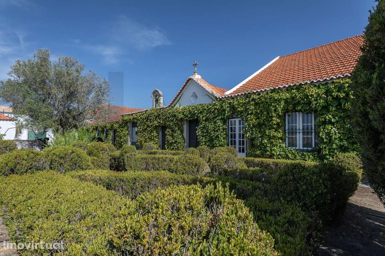 Quinta na freguesia da Trafaria - Grande imagem: 2/60