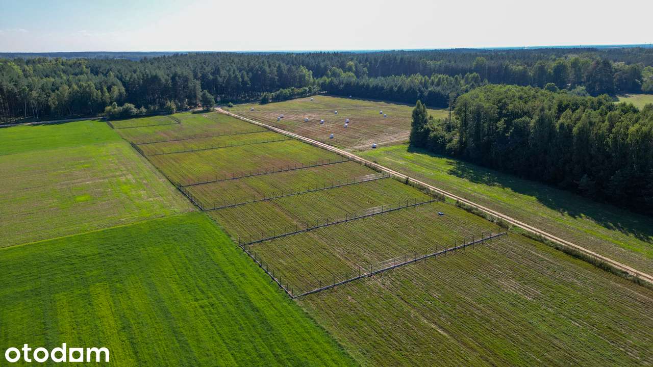 Działki budowlane, zamieszkaj 1h od Warszawy, 30 minut od Ostrołęki! - Pełny obrazek: 5/5