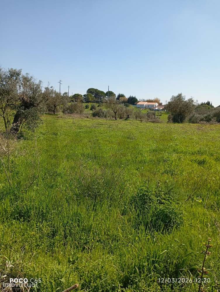 TERRENO PARA CONSTRUÇÃO - - Grande imagem: 4/6