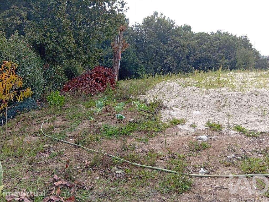 Terreno T3 em Barcelos, Vila Boa e Vila Frescainha (São Martinho e São - Grande imagem: 3/28