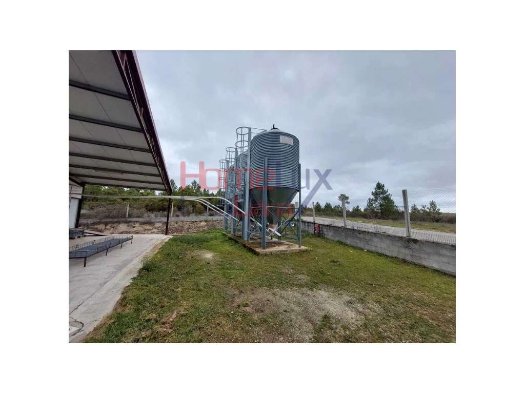 Negócio de Cunicultura para venda em Sabugal, Guarda - Grande imagem: 4/30