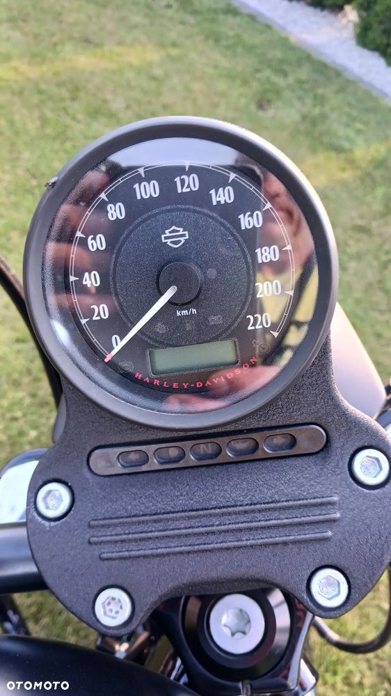 Harley-Davidson Sportster Iron 883 - 14