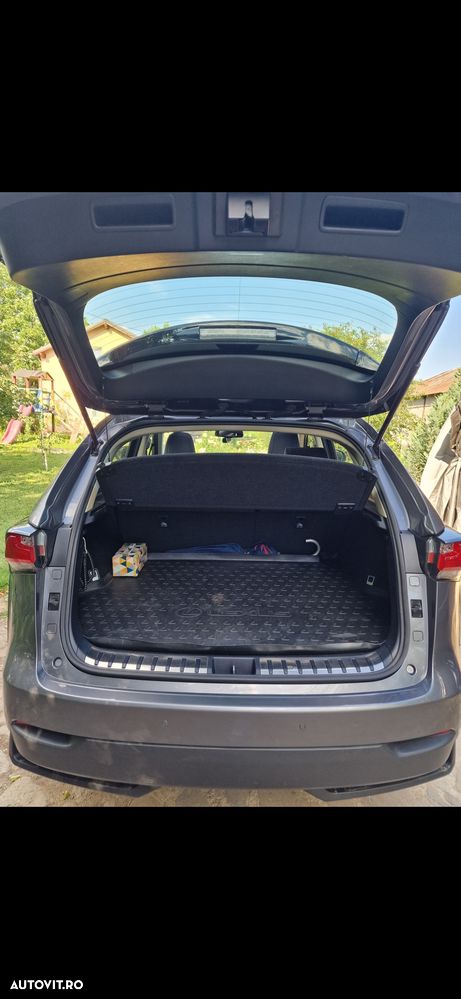 Lexus Seria NX 300h AWD Executive Plus - 18