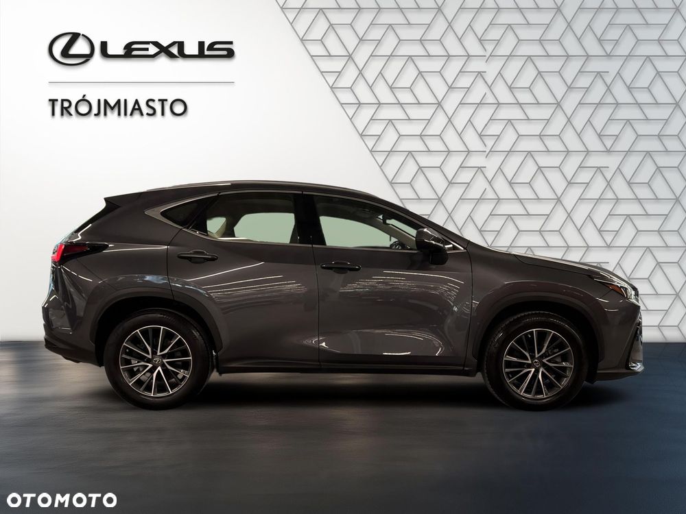 Lexus NX 350h Prestige AWD - 7