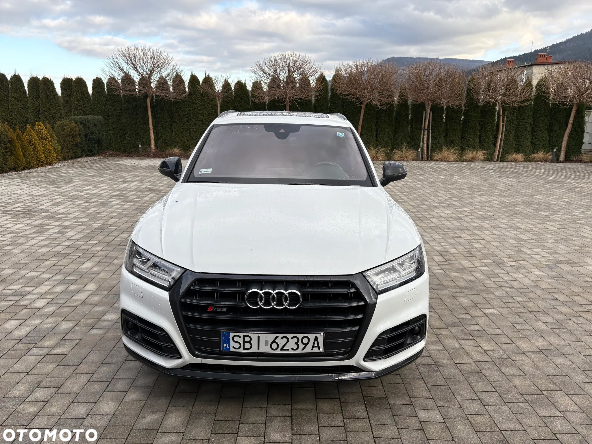 Audi SQ5 3.0 TFSI Quattro Tiptronic - 1
