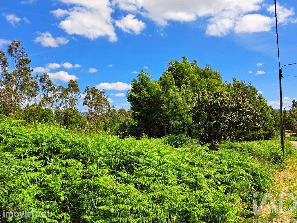 Terreno Agrícola em Esmoriz - Grande imagem: 2/5