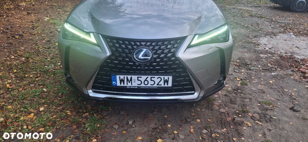 Lexus UX 250h GPF Omotenashi AWD - 2