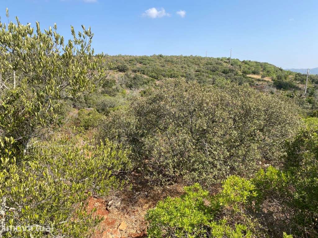 Lote de Terreno Rústico no Serro dos Passarinhos, Loulé, Algarve - Grande imagem: 2/20