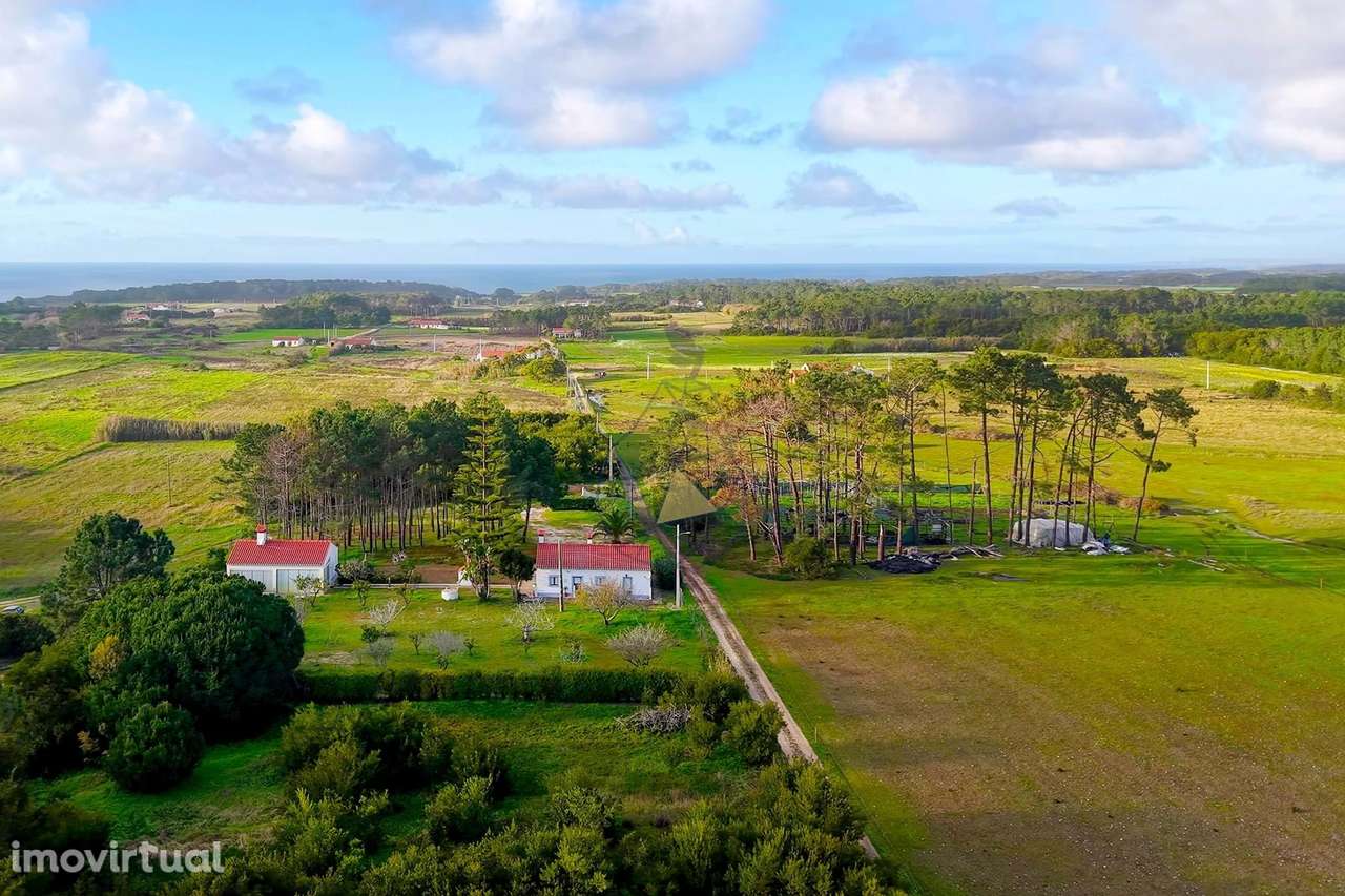 QUINTA SAMOUQUEIRA — EXCLUSIVA NA COSTA VICENTINA - 2KM PRAIA - ROGIL - Grande imagem: 3/60