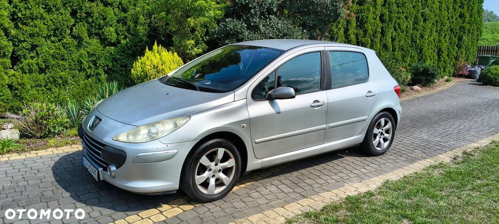 Peugeot 307 1.6 Oxygo - 6