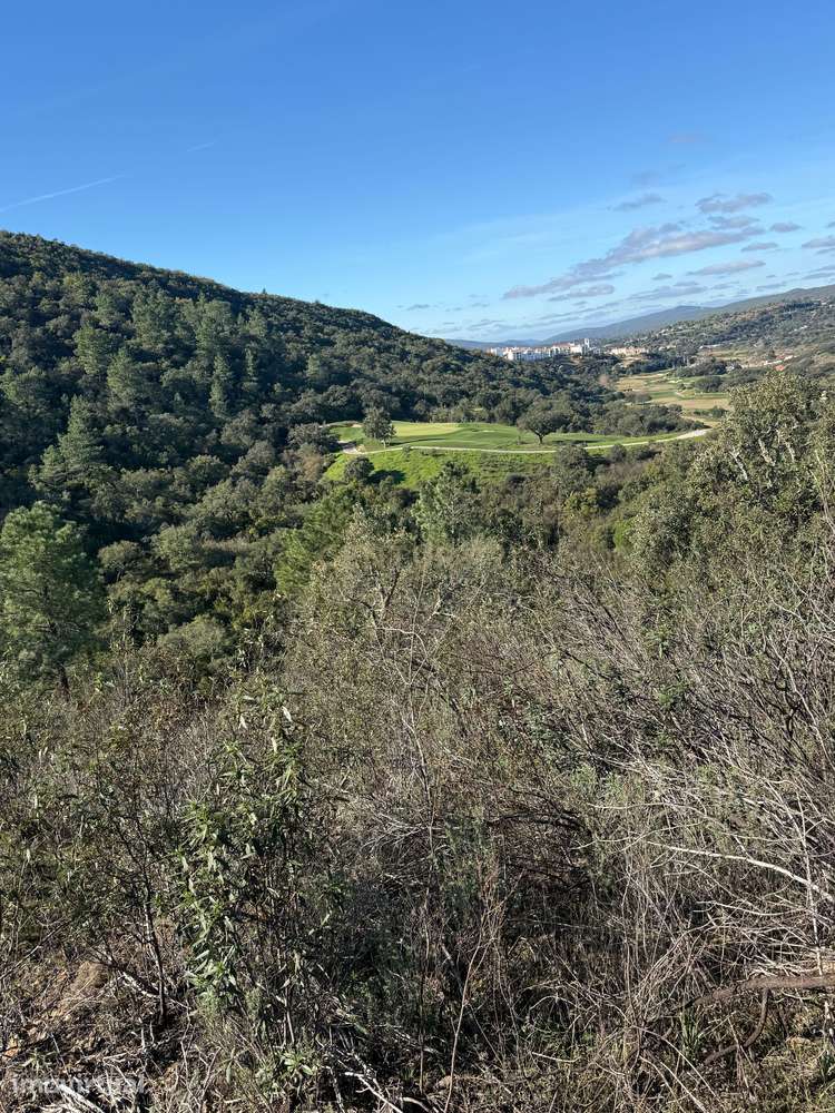 Terreno Rústico com Vista Deslumbrante em Porte Nobre, Querença, Loulé - Grande imagem: 3/6