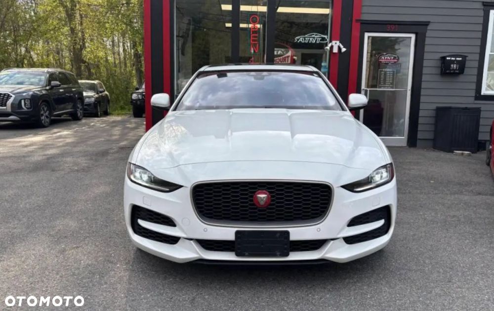 Jaguar XE P250 R-Dynamic SE - 3