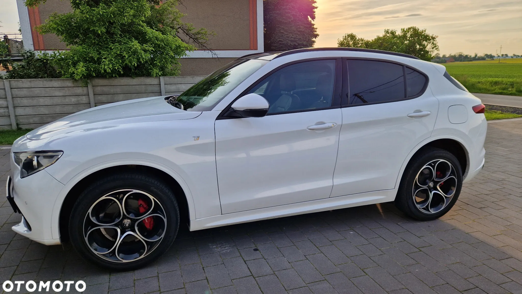 Alfa Romeo Stelvio 2.0 Turbo TI Q4 - 25