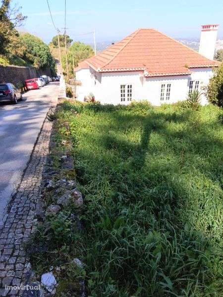 Terreno no centro da vila Sintra. - Grande imagem: 4/11