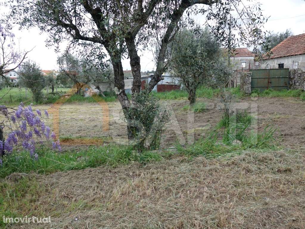 Quintinha com 6.845m2 e com casa de habitação para recuperar, com f... - Grande imagem: 5/18