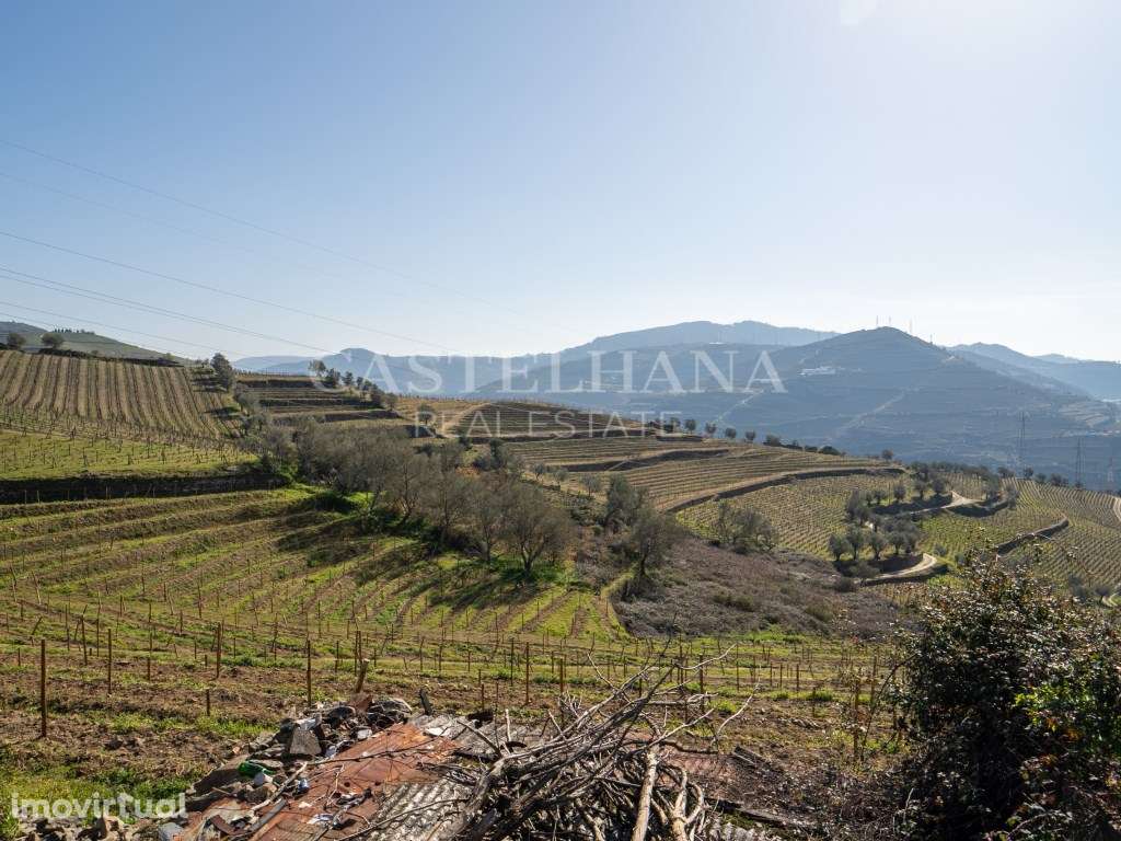 Quinta dos Corceiros - Grande imagem: 4/24