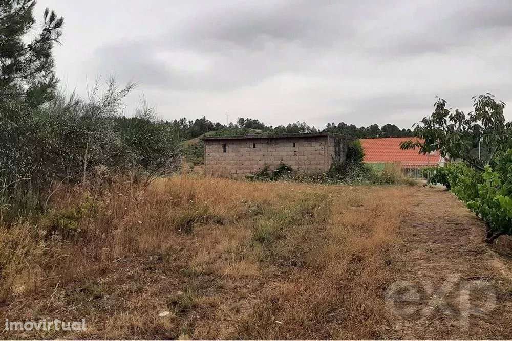 Terreno Rústico na Bouça, Mirandela - Grande imagem: 2/9
