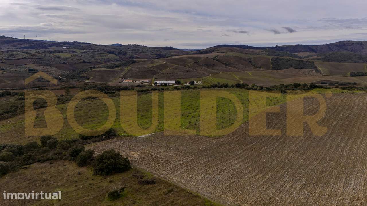Quinta do Arieiro em Vila Nova de Foz Côa - Grande imagem: 4/52