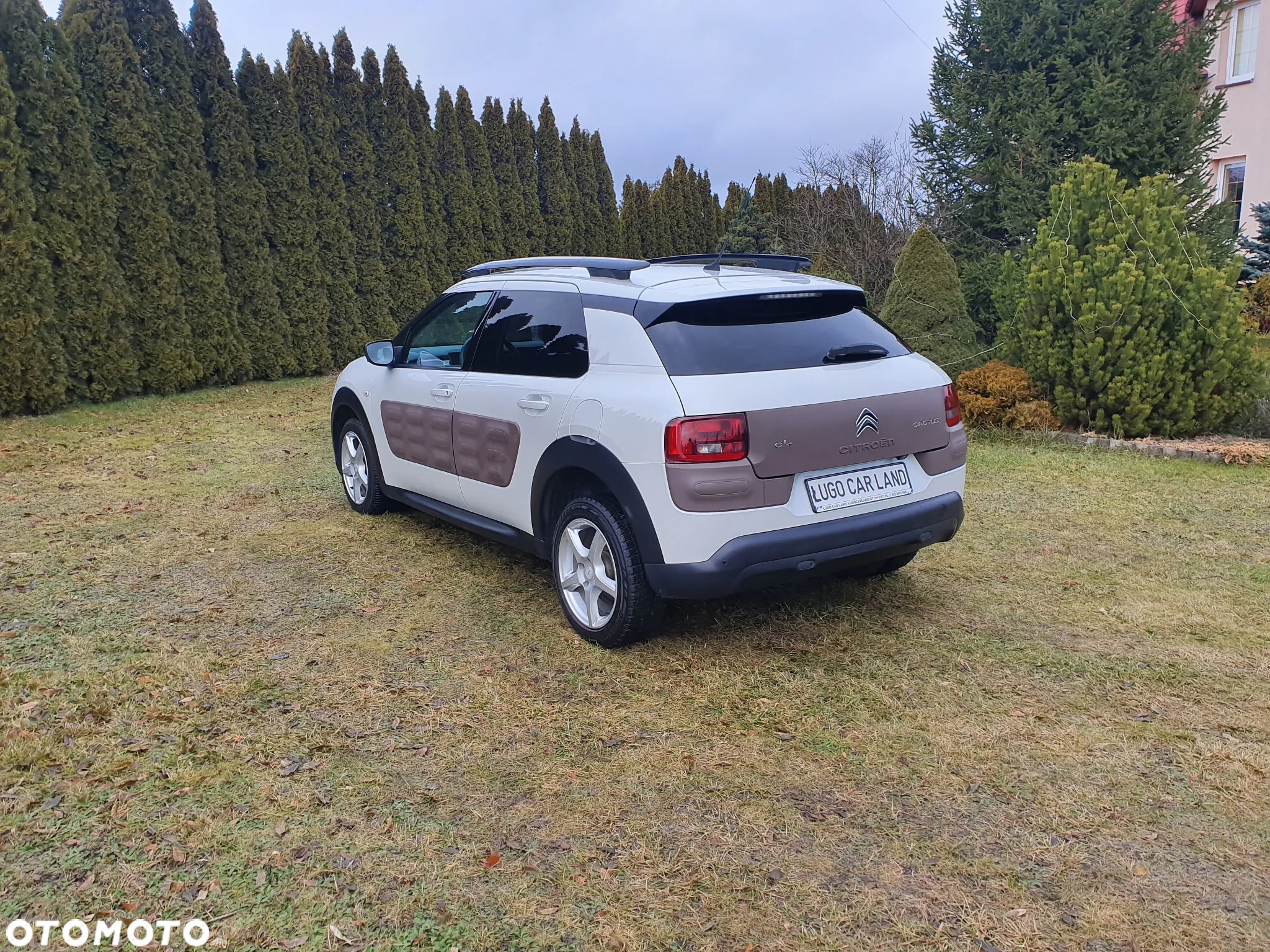 Citroën C4 Cactus 1.2 PureTech Shine S&S - 4