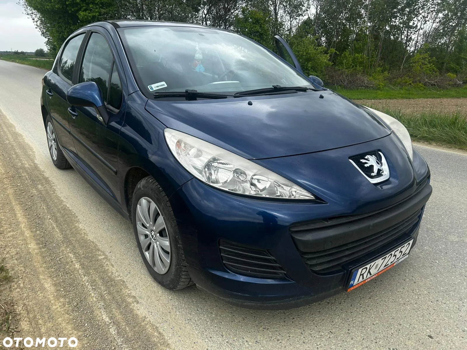 Peugeot 207 - 5