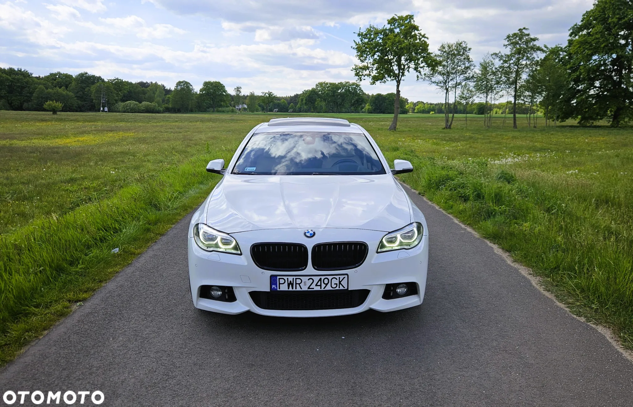 BMW Seria 5 530d xDrive - 2