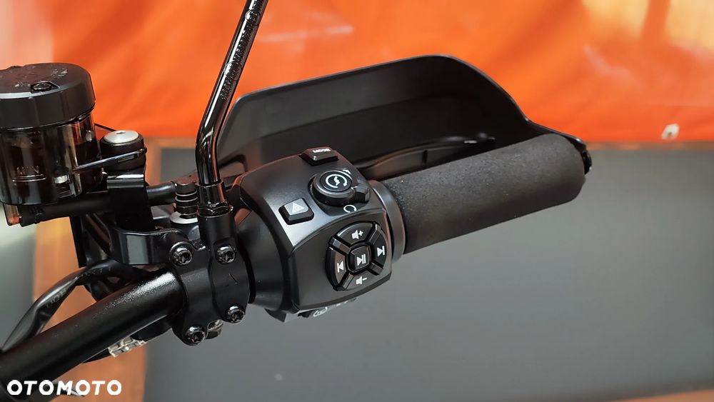 Harley-Davidson Pan America - 15