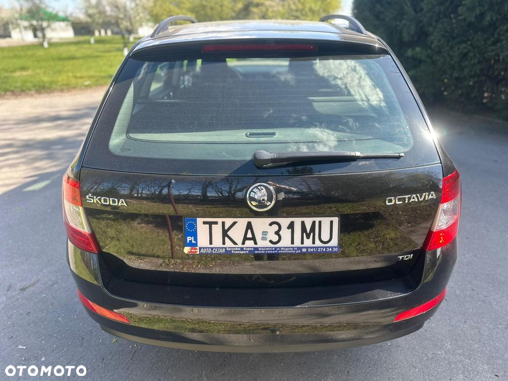 Skoda Octavia - 8